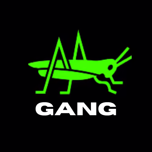 Air Gang NFT